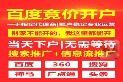 网络推广竞价实战：某电商平台的成功案例
